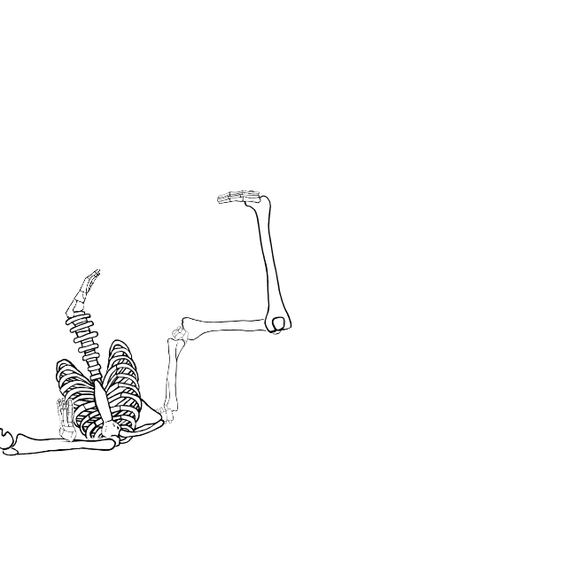 Dem bones dem bones dem – dry bones!
