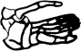 Dem bones dem bones dem – dry bones!
