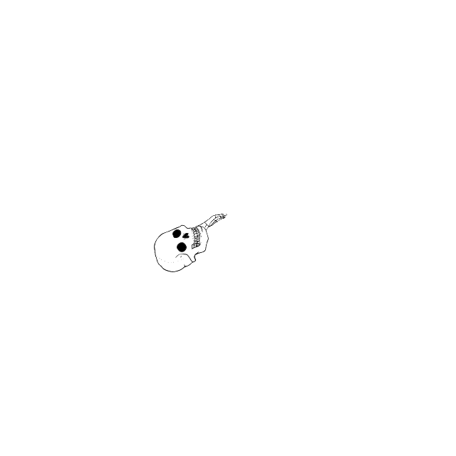 Dem bones dem bones dem – dry bones!