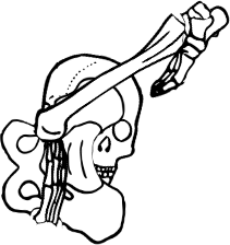 Dem bones dem bones dem – dry bones!
