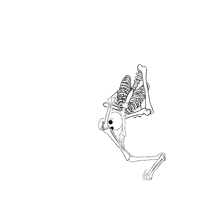 Dem bones dem bones dem – dry bones!