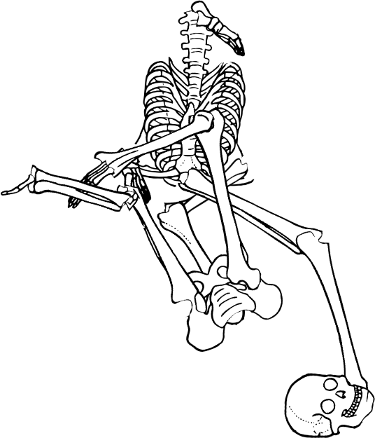 Dem bones dem bones dem – dry bones!