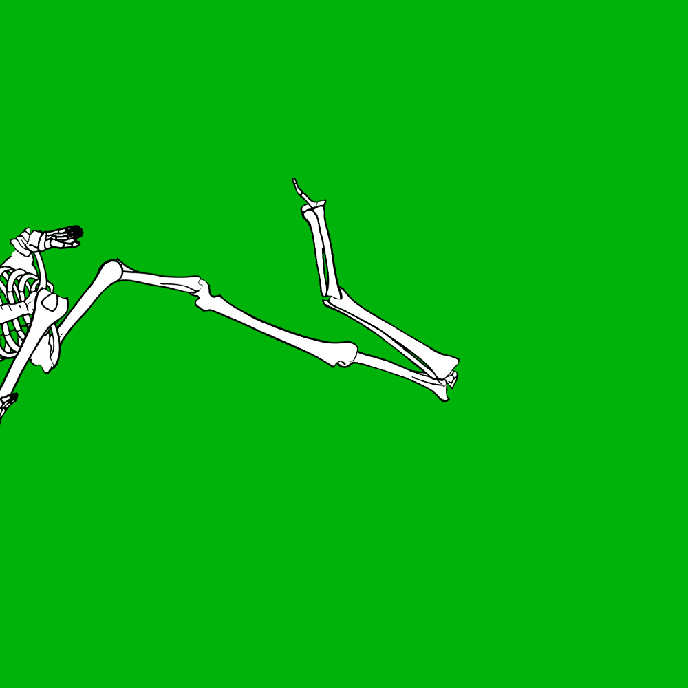 Dem bones dem bones dem – dry bones!