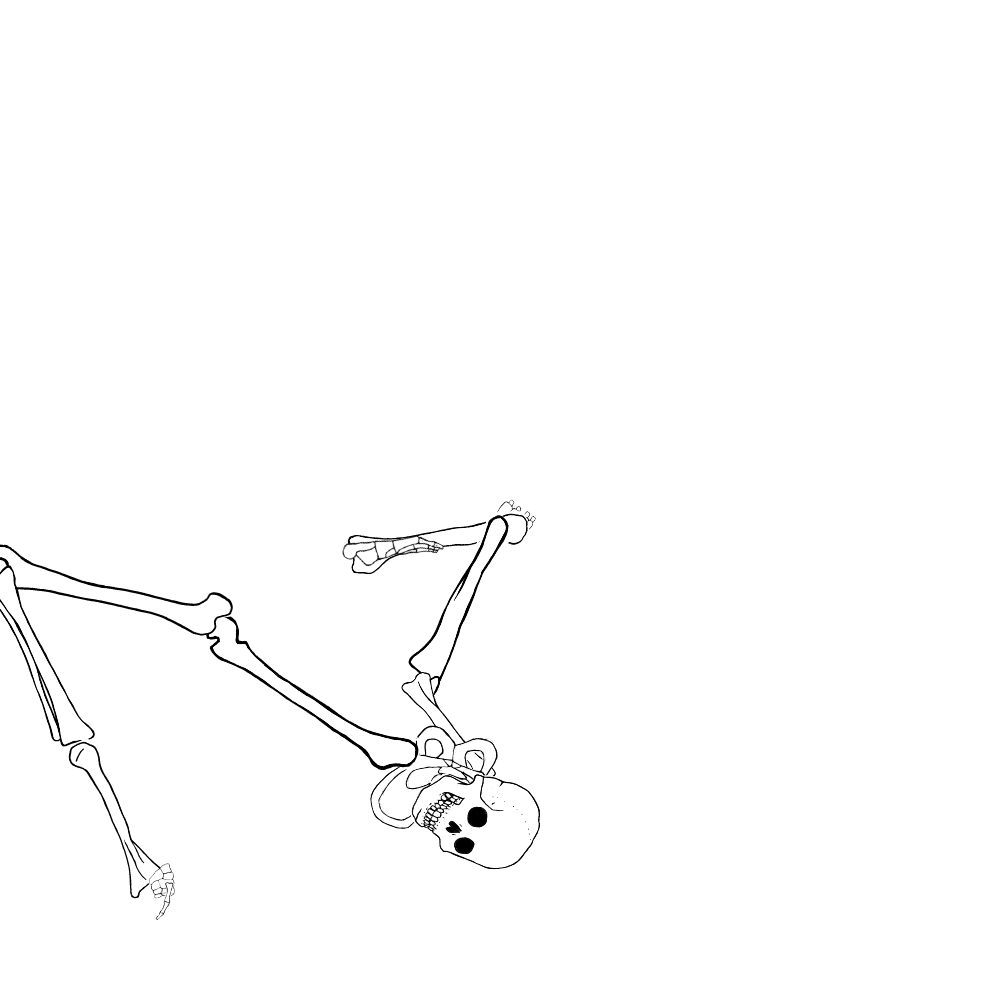 Dem bones dem bones dem – dry bones!