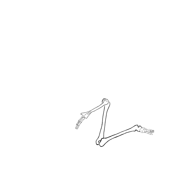 Dem bones dem bones dem – dry bones!