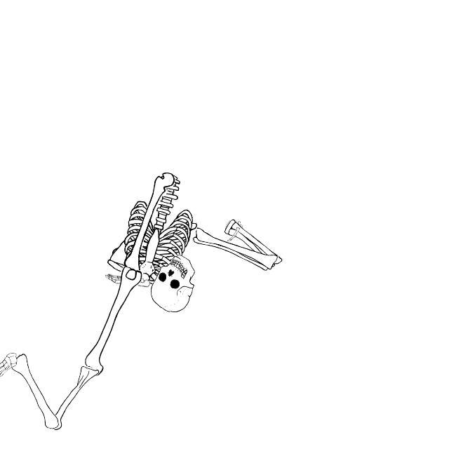 Dem bones dem bones dem – dry bones!