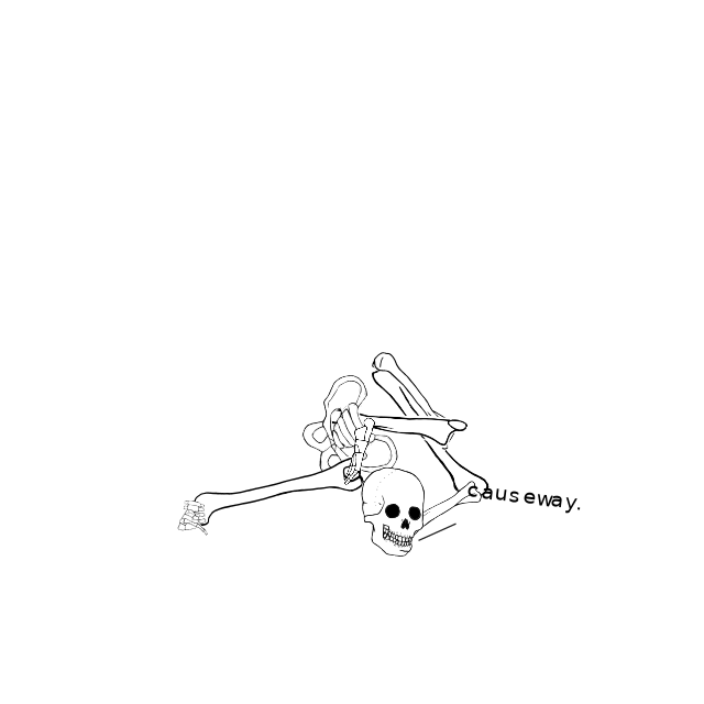 Dem bones dem bones dem – dry bones!