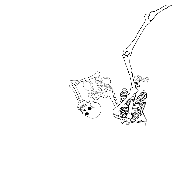 Dem bones dem bones dem – dry bones!