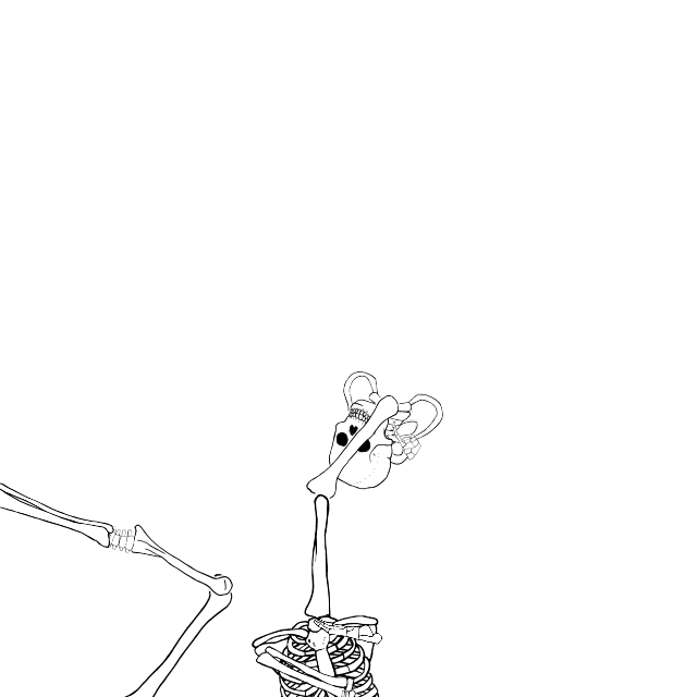 Dem bones dem bones dem – dry bones!