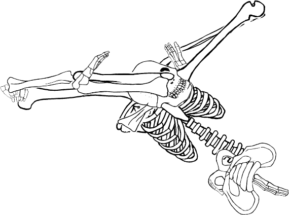 Dem bones dem bones dem – dry bones!
