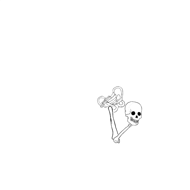 Dem bones dem bones dem – dry bones!