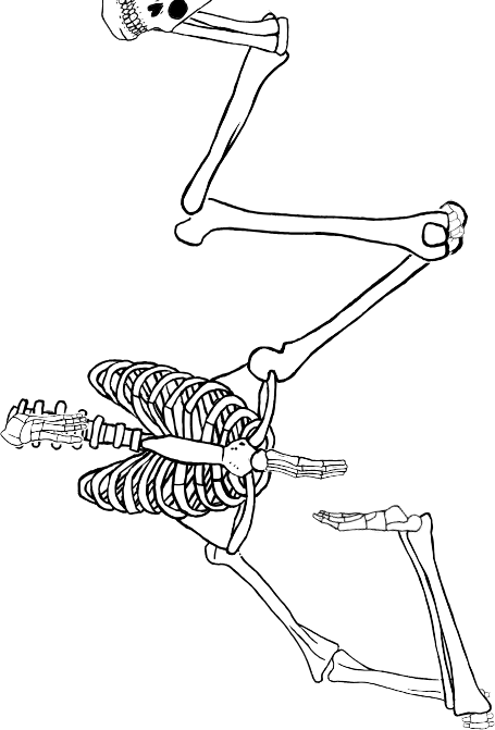 Dem bones dem bones dem – dry bones!