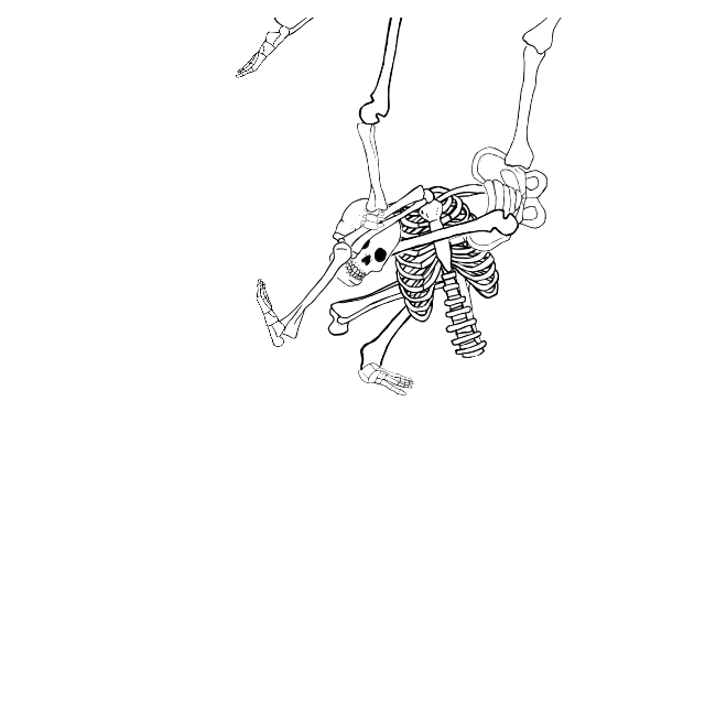Dem bones dem bones dem – dry bones!