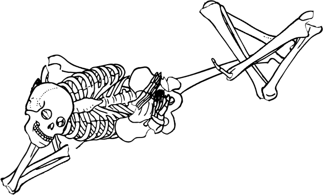 Dem bones dem bones dem – dry bones!