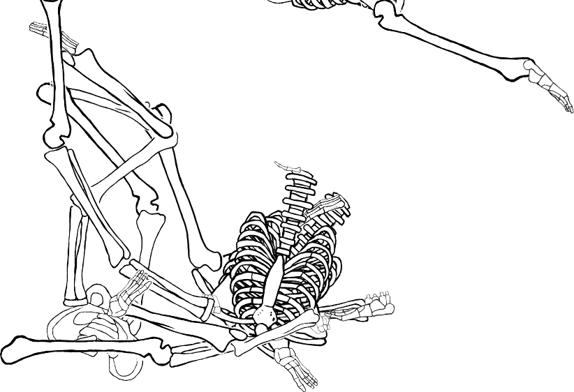 Dem bones dem bones dem – dry bones!