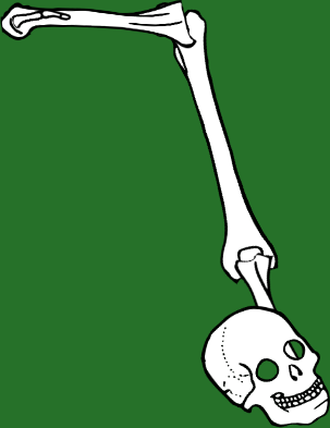 Dem bones dem bones dem – dry bones! Dem bones dem bones dem – extra bones!