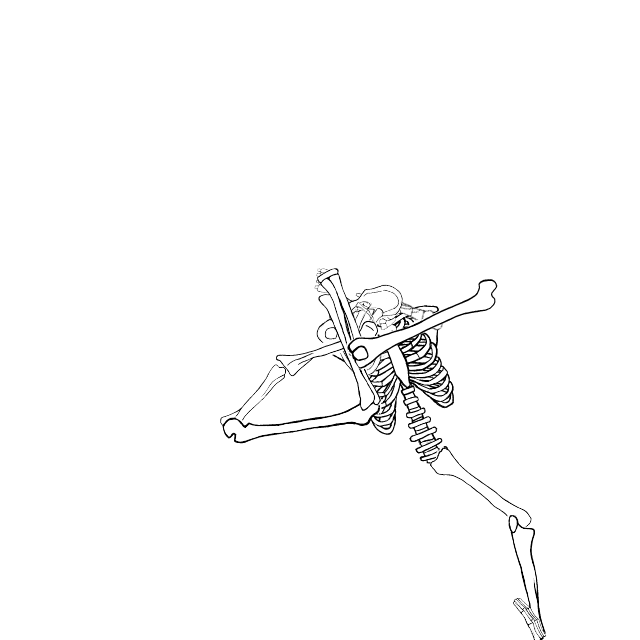 Dem bones dem bones dem – dry bones!