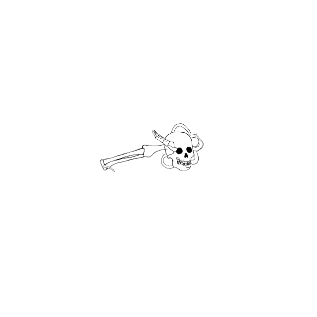 Dem bones dem bones dem – dry bones!