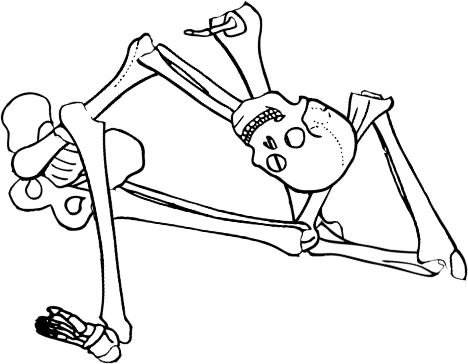 Dem bones dem bones dem – dry bones!