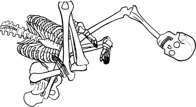 Dem bones dem bones dem – dry bones!