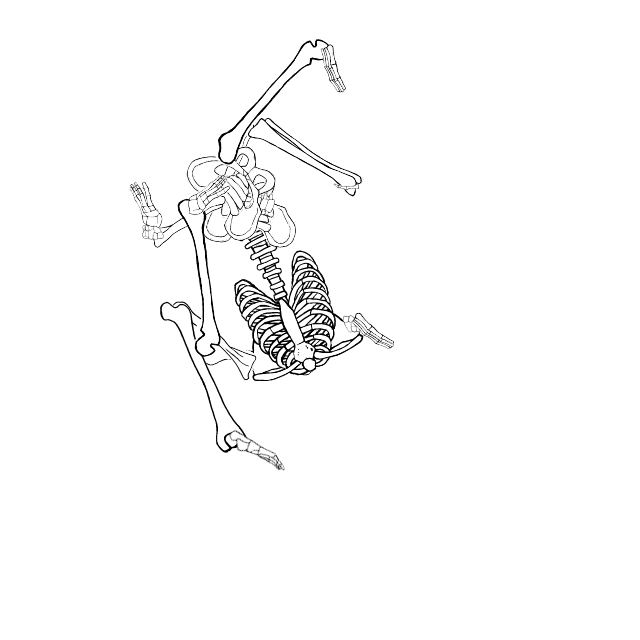 Dem bones dem bones dem – dry bones!