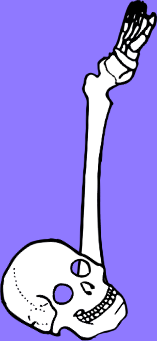 Dem bones dem bones dem – dry bones!