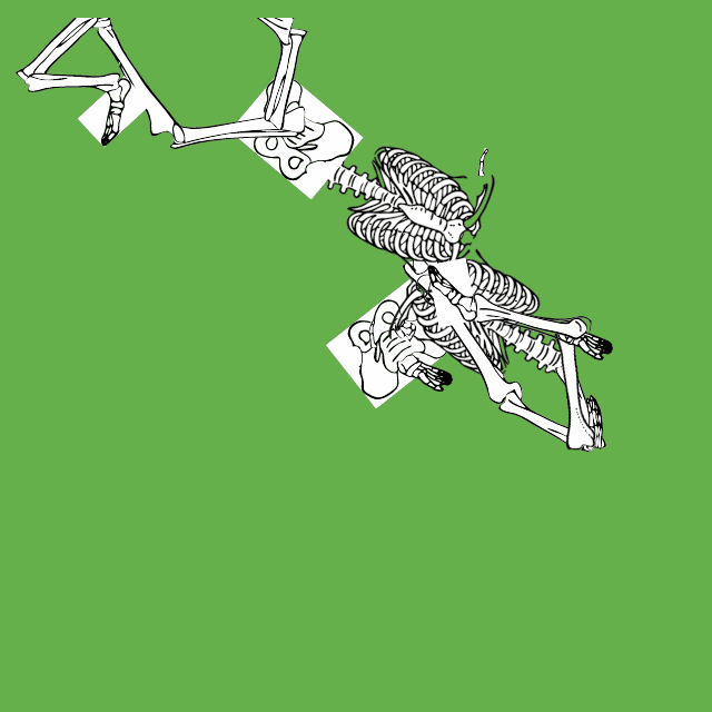 Dem bones dem bones dem – dry bones!