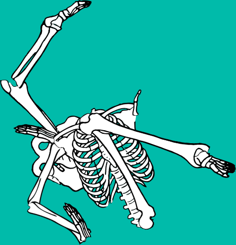 Dem bones dem bones dem – dry bones! Dem bones dem bones dem – extra bones!