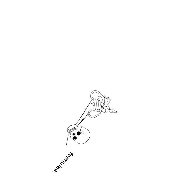 Dem bones dem bones dem – dry bones!