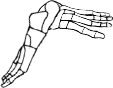 Dem bones dem bones dem – dry bones!