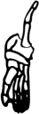 Dem bones dem bones dem – dry bones!
