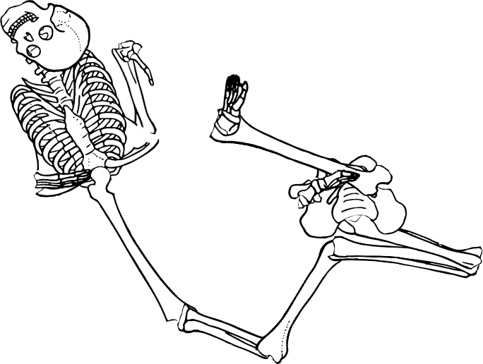 Dem bones dem bones dem – dry bones!