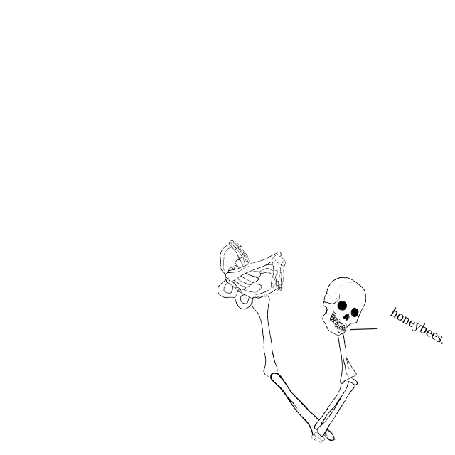 Dem bones dem bones dem – dry bones!
