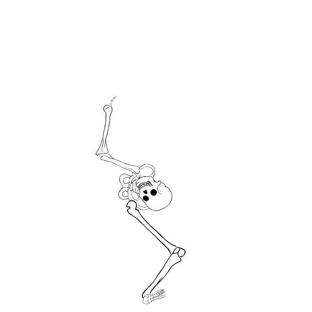 Dem bones dem bones dem – dry bones!