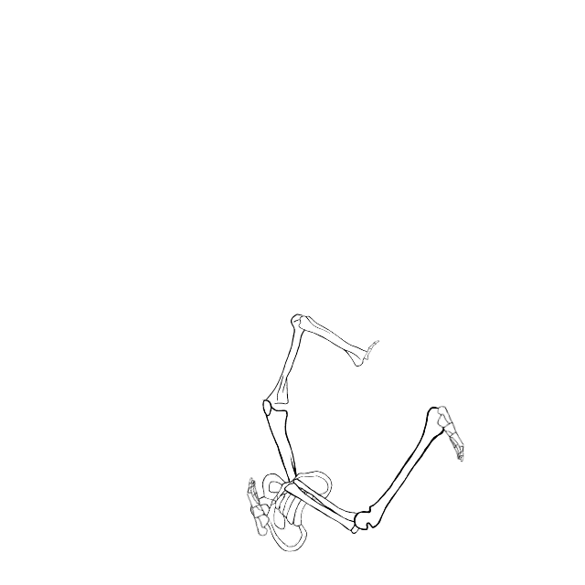Dem bones dem bones dem – dry bones!