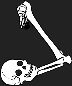 Dem bones dem bones dem – dry bones!