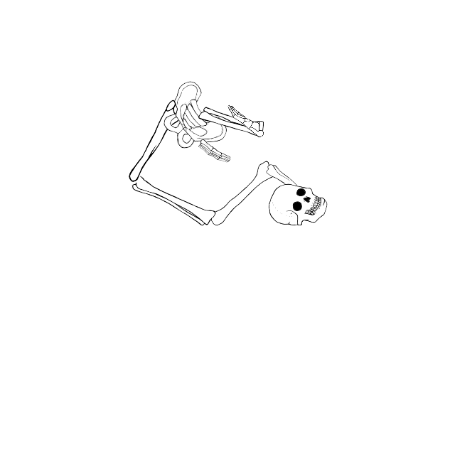 Dem bones dem bones dem – dry bones!