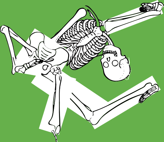 Dem bones dem bones dem – dry bones!