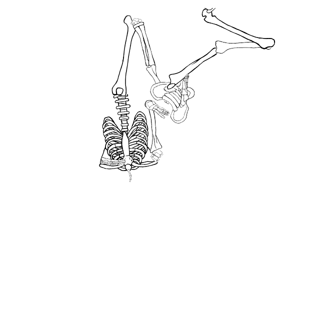Dem bones dem bones dem – dry bones!