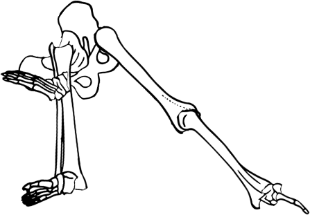 Dem bones dem bones dem – dry bones!