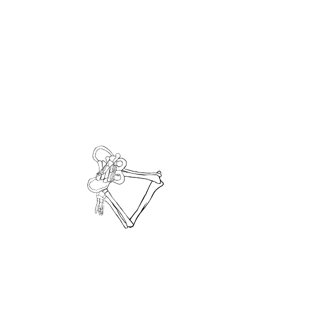 Dem bones dem bones dem – dry bones!