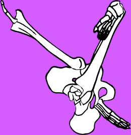 Dem bones dem bones dem – dry bones!