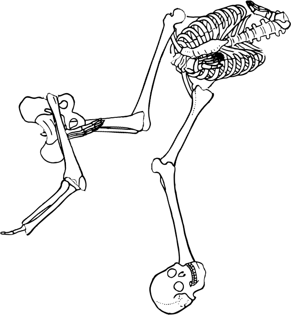 Dem bones dem bones dem – dry bones!