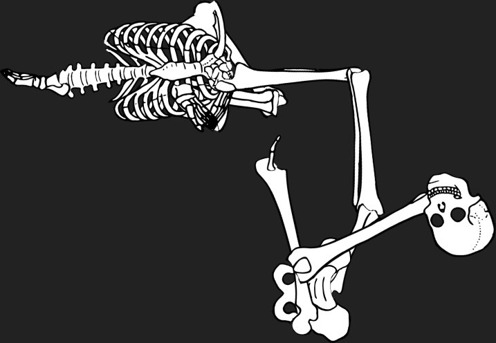 Dem bones dem bones dem – dry bones!