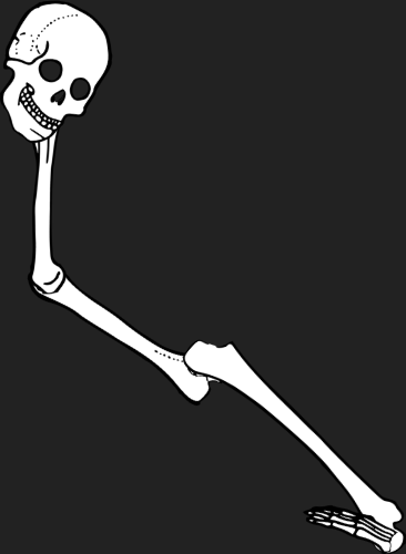 Dem bones dem bones dem – dry bones!