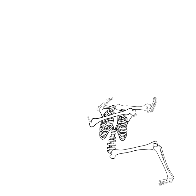 Dem bones dem bones dem – dry bones!