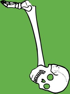 Dem bones dem bones dem – dry bones!