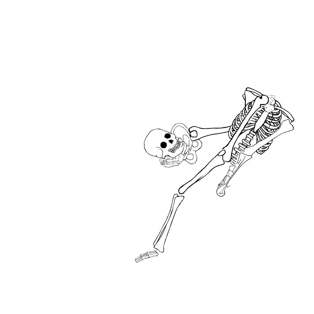 Dem bones dem bones dem – dry bones!