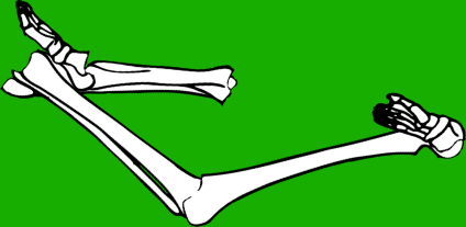 Dem bones dem bones dem – dry bones!