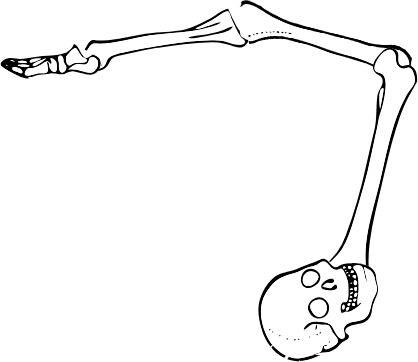 Dem bones dem bones dem – dry bones!